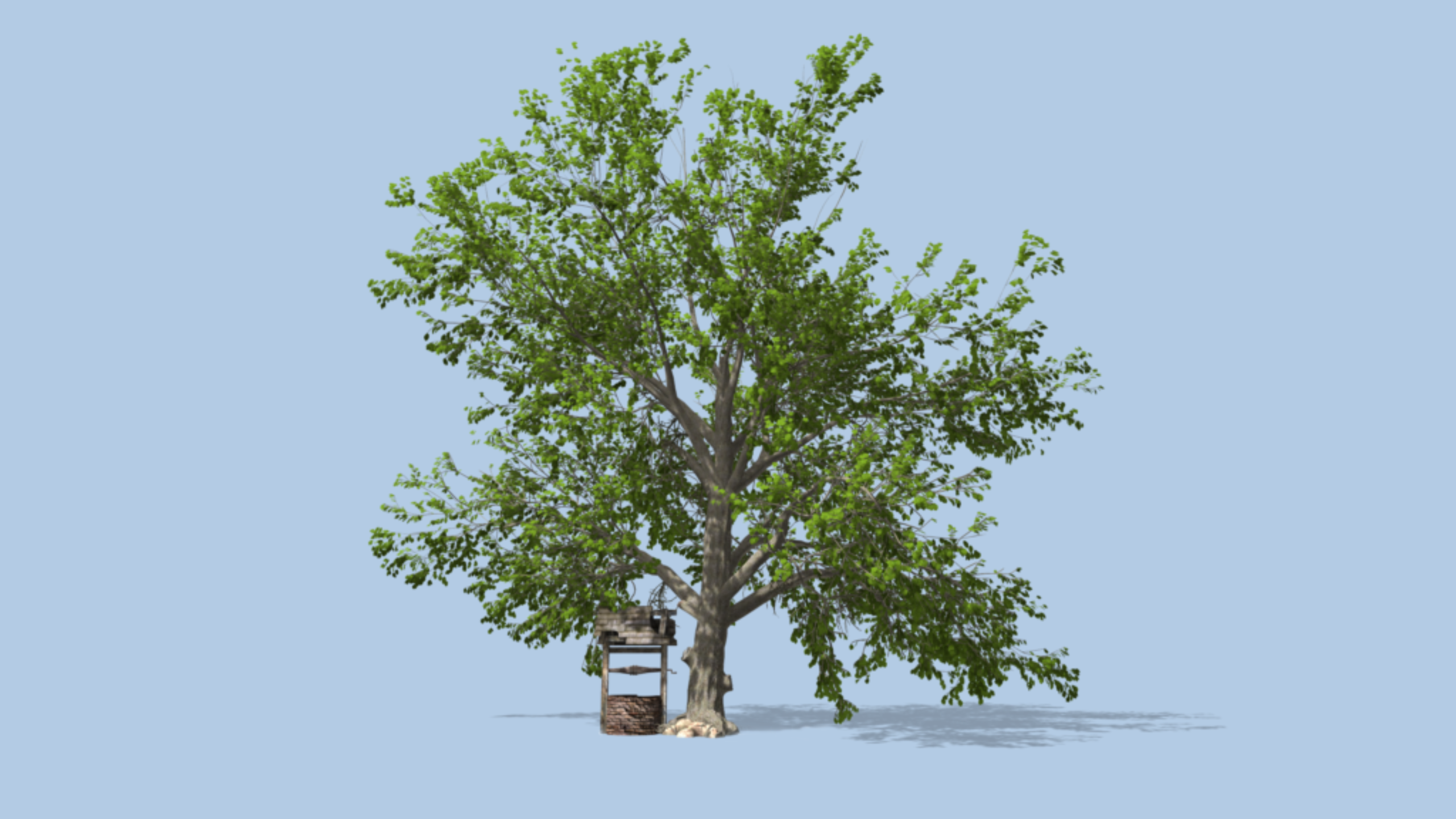 One of many trees I created with SpeedTree.